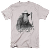 Lord Of The Rings Gandalf The Grey Men's 18/1 Cotton Short-Sleeve T-Shirt
